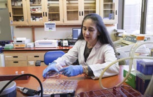 Kidney researcher Maria Luisa S. Sequeira-Lopez, MD, is part of the Department of Pediatrics and UVA’s Child Health Research Center.