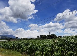 Guatemala Countryside