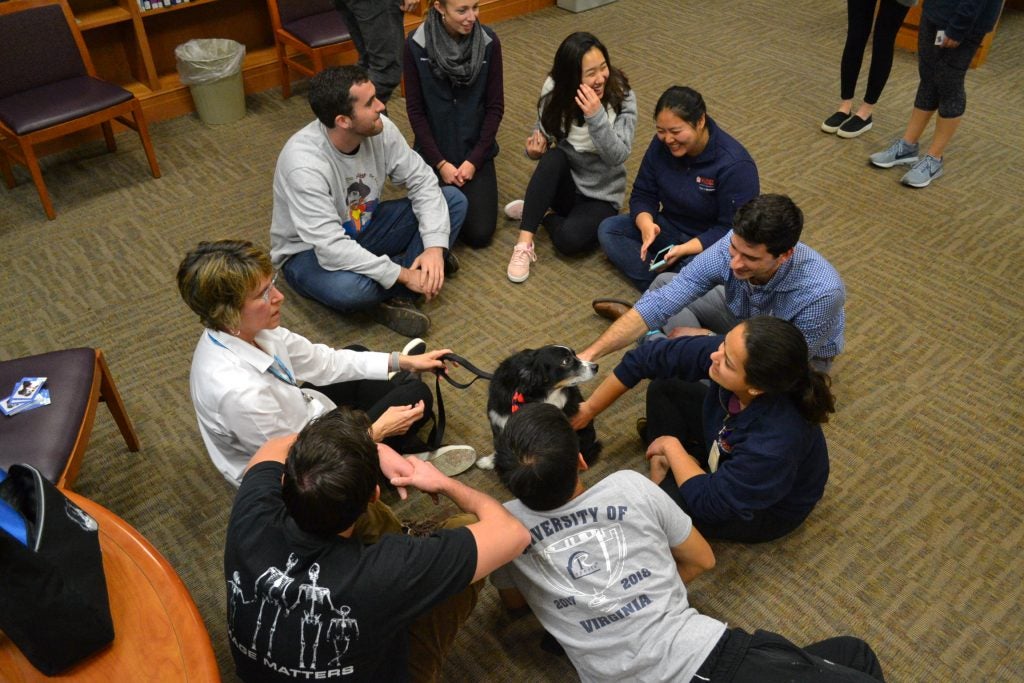 UVA medical and nursing students enjoying relaxing with a therapy dog.