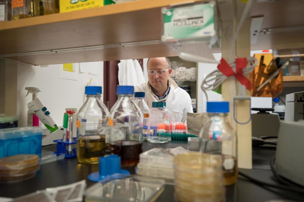 Day in and day out, Papin works with students in his lab. Many of them have gone on to lead similar labs around the country. (Photo by Dan Addison, University Communications)
