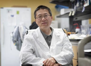 Photo of Hui Zong, PhD