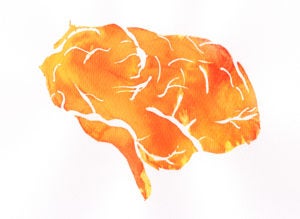 Image showing watercolor painting of brain
