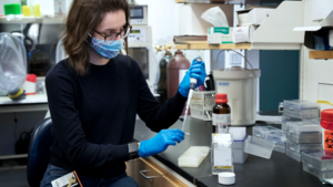 Allie Donlan is in the fourth year of her Ph.D. program at UVA, studying biomedical sciences. (Photo by Dan Addison, University Communications)