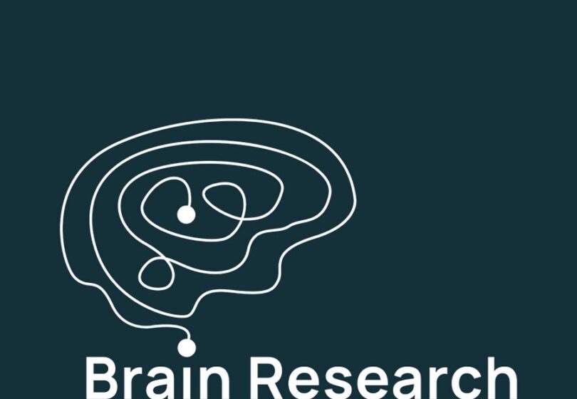 Brain Research graphic