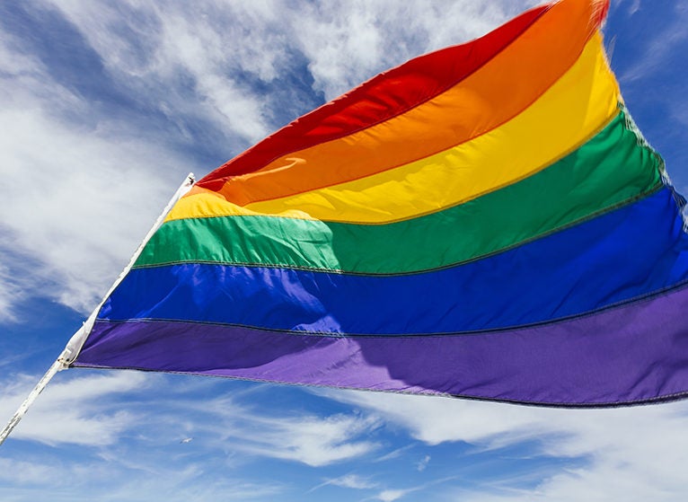 multi colored pride flag