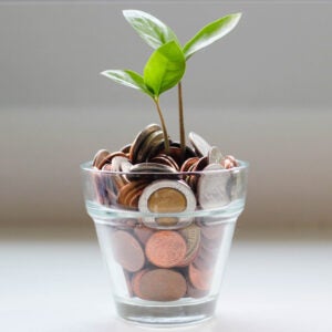 jar with plant and money
