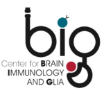 BIG Brain Immunology and Glia logo