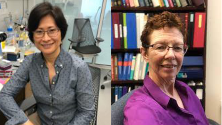 Xiaowei Lu PhD and Ann Sutherland, PhD head shot