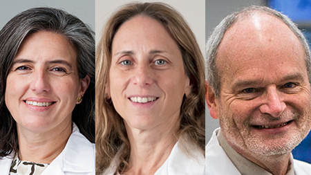Three School of Medicine Faculty Receive the Office of Engagement’s Distinguished Scholars Award
