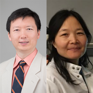 Joshua Li, MD, PhD and Li Jin, PhD