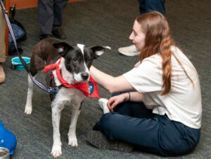 Therapy Dogs Event 2022