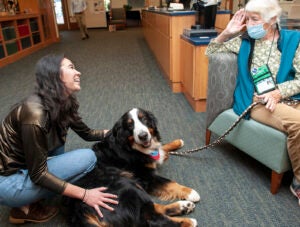 Therapy Dogs Event 2022