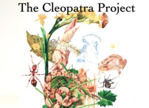The Cleopatra Project graphic