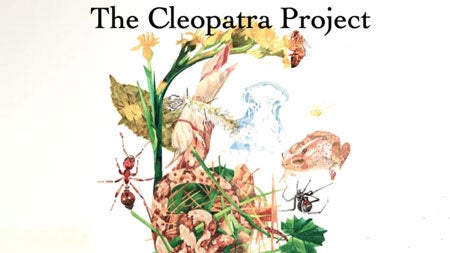 The Cleopatra Project Named Virginia Master Naturalists Most Impactful Project of the Year