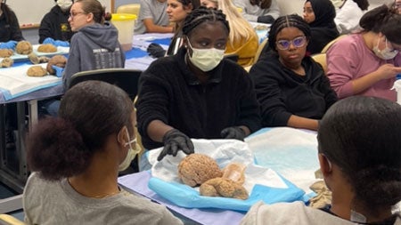 High School Students Learn About Neurology During Discover Medicine Event - Education - Medicine in Motion News