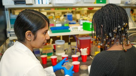 Graduate and Medical Students Host Local High Schoolers for Latest Discover Medicine Session