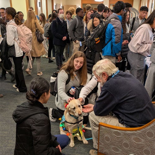 Med students at the library study break with service animals.