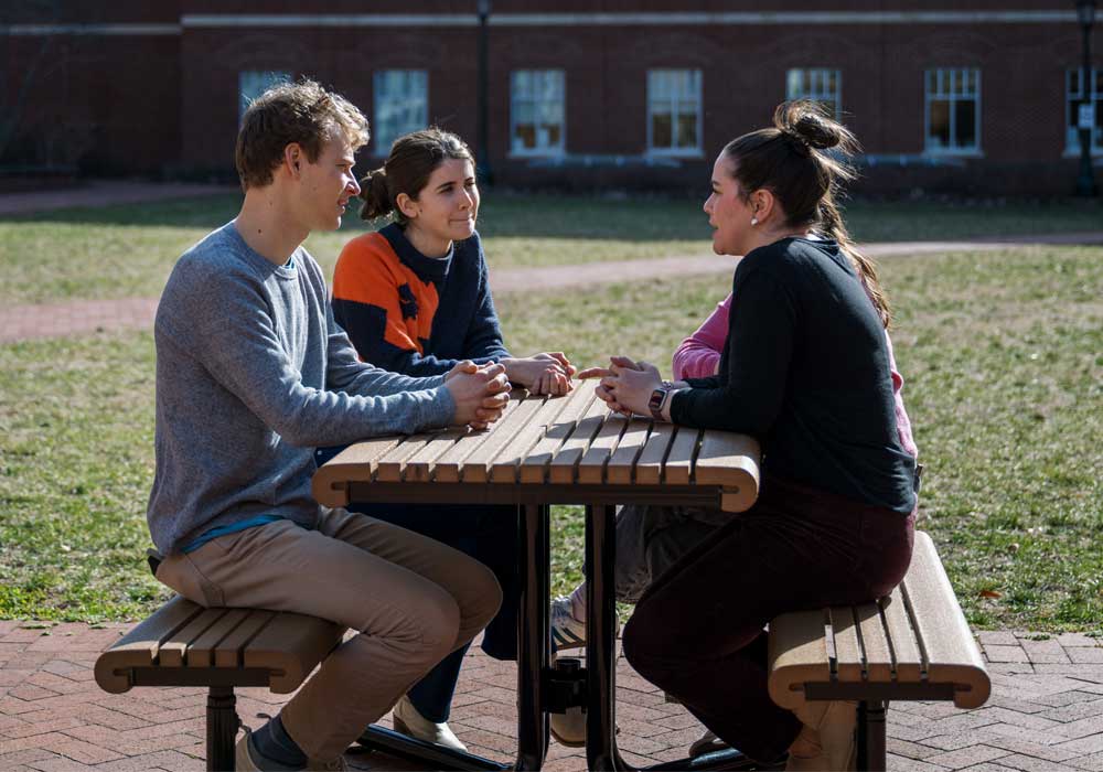 People sitting at picnic table