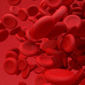 Red blood cells