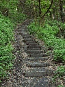 Stairs in the Woods